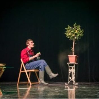 Arbre magique